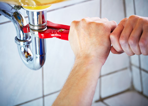 About Larkspur Plumbers